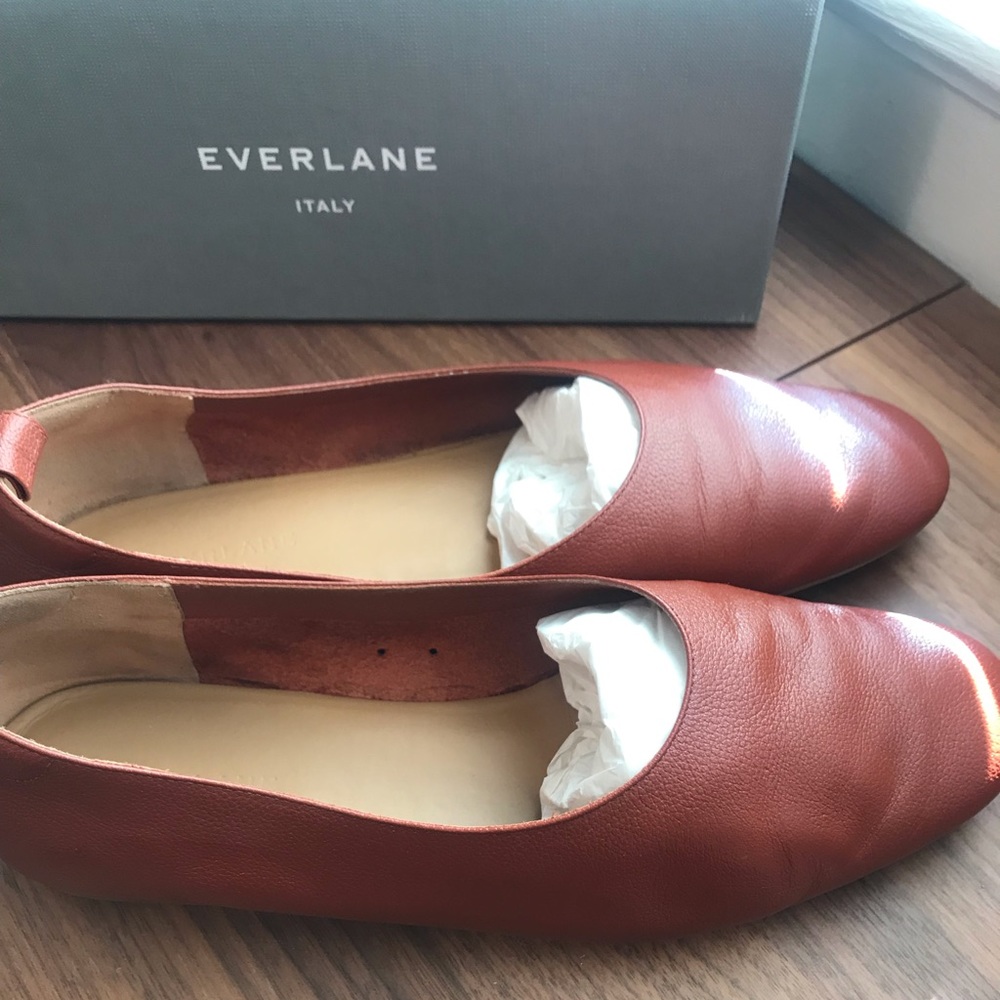 Everlane Day Glove Flats in Brick - Size 11